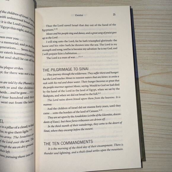 The Concise BIBLE Synopses of all 66 Books King James Verson Frances Hazlit READ - Picture 6 of 7